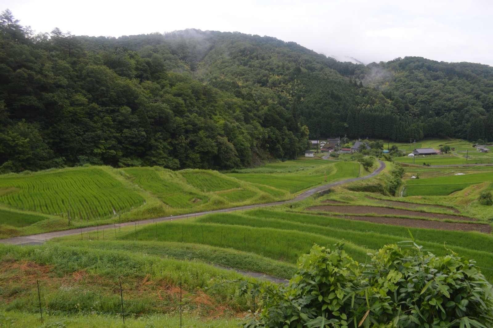 広島の棚田